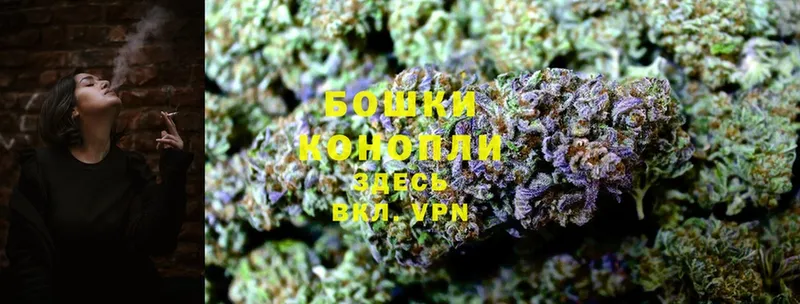 Бошки марихуана THC 21%  Сафоново 